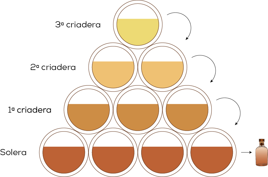Méthode Solera : tout comprendre