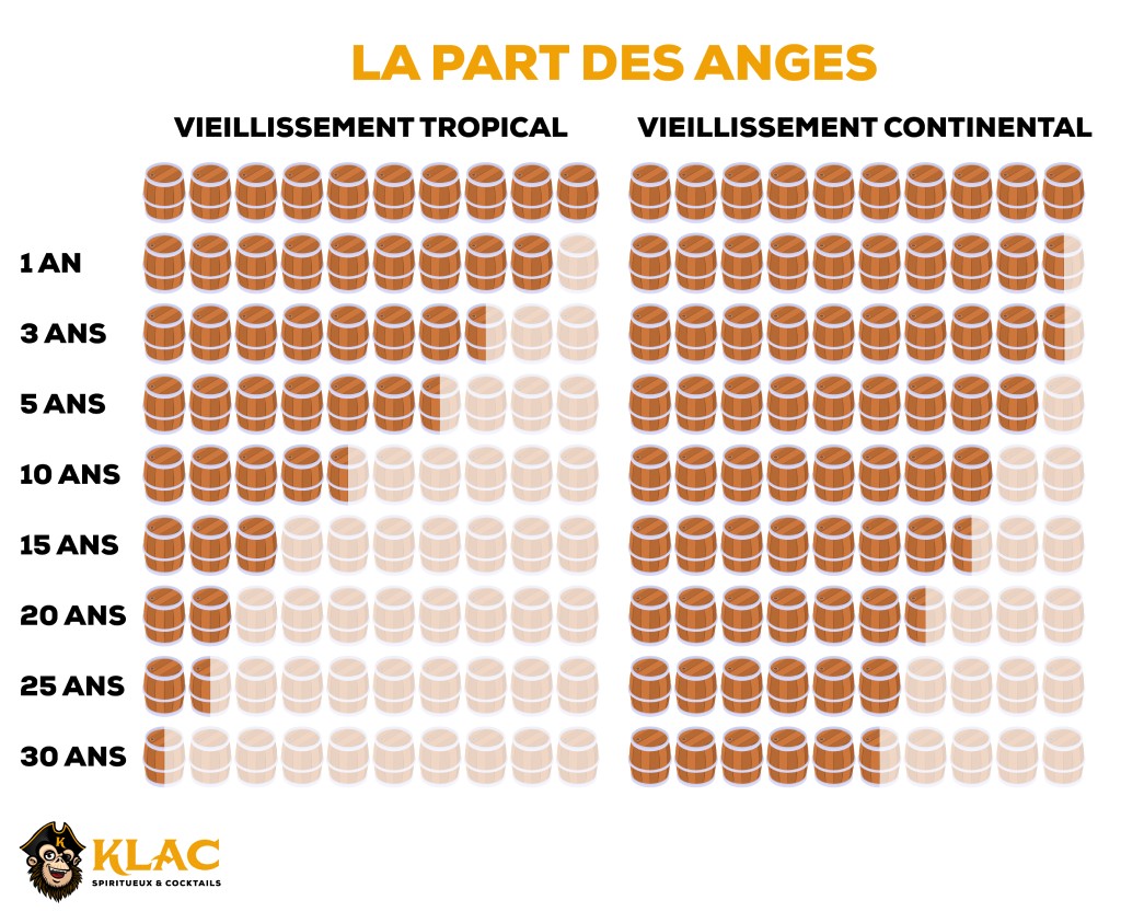 Part des anges schéma